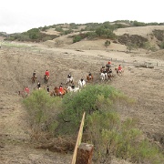 IMG 0018