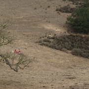 IMG 0022