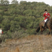 IMG 0040