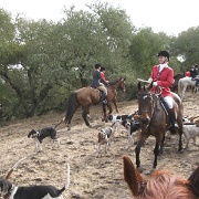 IMG 0061