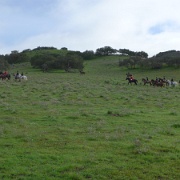P1020987