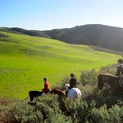 IMG 4512