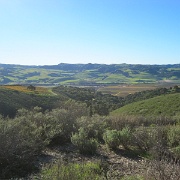 IMG 4525