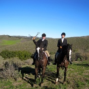 IMG 4528