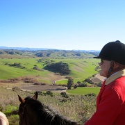 IMG 4532