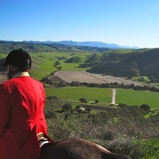 IMG 4533