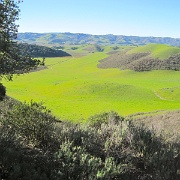 IMG 4536