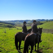 IMG 4540