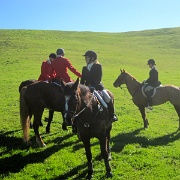 IMG 4557